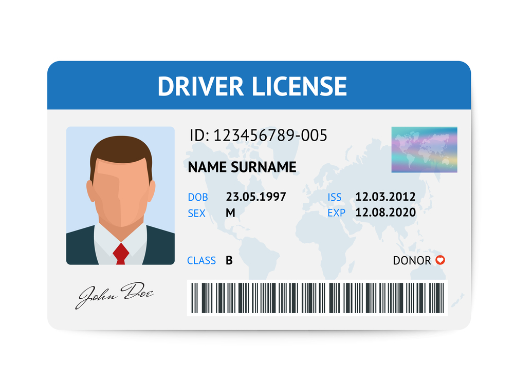 An image of a driver's license.