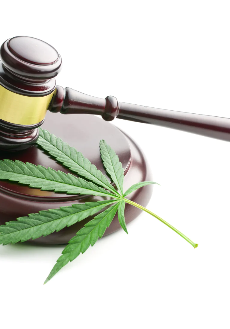 What Should I Do if I’m Charged With Marijuana Possession in Kansas?